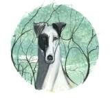 Greyhound Original Watercolor