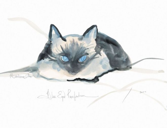 Blue Eyed Purrfection - Artist Proof