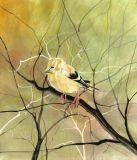Goldfinch, The Gicle - Artist Proof