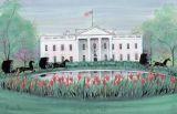 White House Tulips, The
