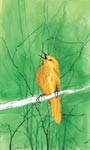 Little Yellow Bird - Artist Proof