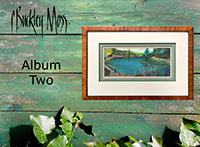 Album Two-Visionary Moss