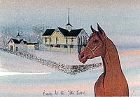 Beauty at the Star Barn - Artist Proof