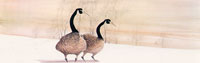 Canada Geese ***Sold Out***