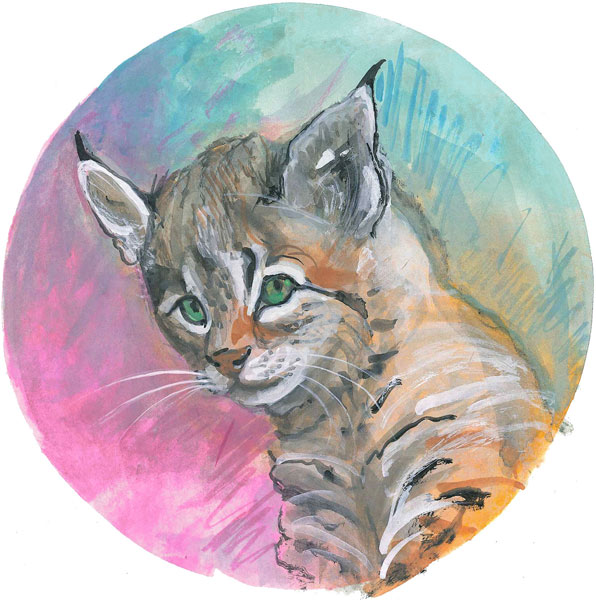 Coy Kitty Gicle - Artist Proof