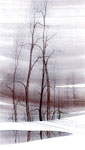 Grey Reflections ***Sold Out***