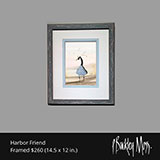 Harbor Friend Framed