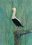 In the Marsh Gicle - Artist Proof