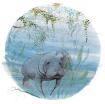 Manatees ***Sold Out***