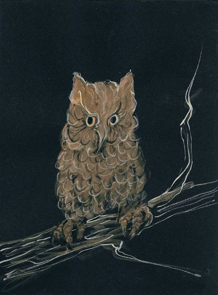 Night Owl Gicle - Artist Proof