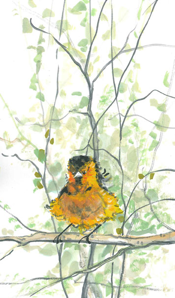 Ruffled Feathers Gicle - Artist Proof