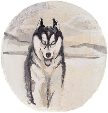 Siberian Husky Gicle - Artist Proof