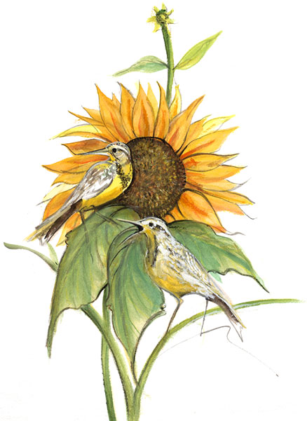Song of the Sunflower Gicle - Artist Proof