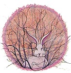 Spring Bunny - Artist Proof