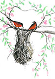 Spring Nest Gicle - Artist Proof