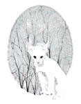 White Purrfection - Artist Proof