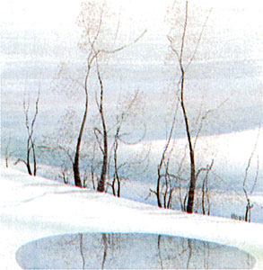 Winter Serenity ***Sold Out***